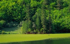 Desktop wallpaper. Nature. ID:30957