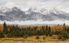 Desktop wallpaper. Nature. ID:30959