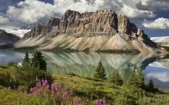 Desktop wallpaper. Nature. ID:30968