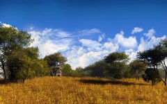 Desktop wallpaper. Nature. ID:30970