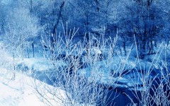 Desktop wallpaper. Nature. ID:30973