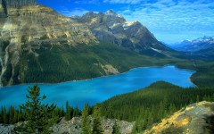 Desktop wallpaper. Nature. ID:30977