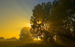 Desktop wallpaper. Nature. ID:30979