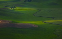 Desktop wallpaper. Nature. ID:30984