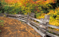 Desktop wallpaper. Nature. ID:30987
