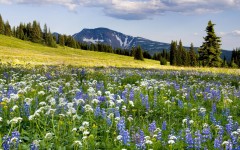 Desktop wallpaper. Nature. ID:30999