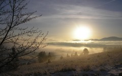 Desktop image. Nature. ID:31004