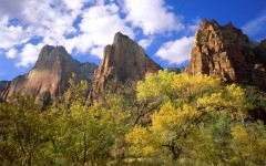 Desktop image. Nature. ID:31010