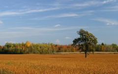 Desktop wallpaper. Nature. ID:31022