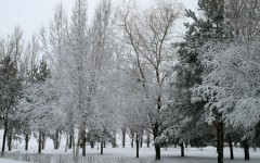 Desktop wallpaper. Nature. ID:31031