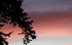 Desktop wallpaper. Nature. ID:31034