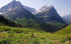Desktop wallpaper. Nature. ID:31039