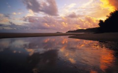 Desktop wallpaper. Nature. ID:31054
