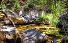 Desktop wallpaper. Nature. ID:31057