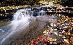 Desktop wallpaper. Nature. ID:31058