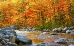 Desktop wallpaper. Nature. ID:31071