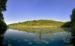 Desktop wallpaper. Nature. ID:31082