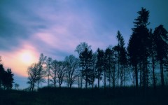 Desktop wallpaper. Nature. ID:31085