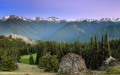 Desktop wallpaper. Nature. ID:31091