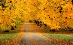 Desktop wallpaper. Nature. ID:31093