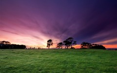 Desktop wallpaper. Nature. ID:31098