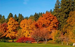 Desktop wallpaper. Nature. ID:31108