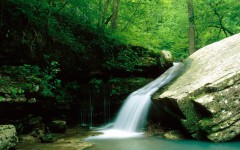 Desktop wallpaper. Nature. ID:31114