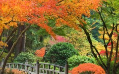 Desktop wallpaper. Nature. ID:31116