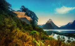 Desktop wallpaper. Nature. ID:51677