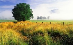 Desktop wallpaper. Nature. ID:31141