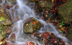 Desktop wallpaper. Nature. ID:31147