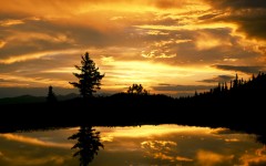 Desktop wallpaper. Nature. ID:31150