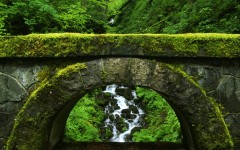 Desktop wallpaper. Nature. ID:31153