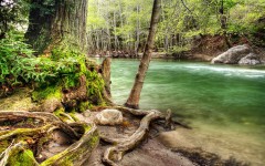 Desktop wallpaper. Nature. ID:31170