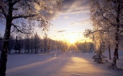 Desktop wallpaper. Nature. ID:31172