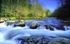 Desktop wallpaper. Nature. ID:31174