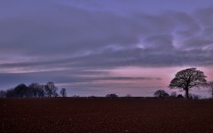 Desktop image. Nature. ID:51167