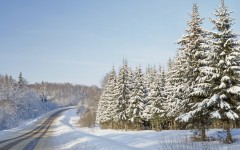 Desktop wallpaper. Nature. ID:31188