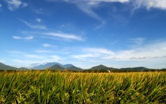 Desktop wallpaper. Nature. ID:31189