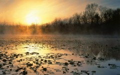 Desktop wallpaper. Nature. ID:31193