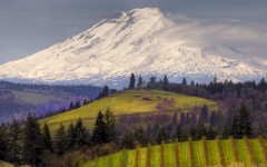 Desktop wallpaper. Nature. ID:31199