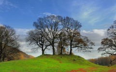 Desktop wallpaper. Nature. ID:31206