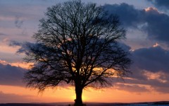 Desktop wallpaper. Nature. ID:31210