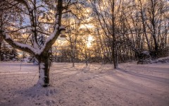 Desktop wallpaper. Nature. ID:31217