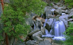 Desktop wallpaper. Nature. ID:31218