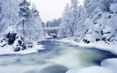 Desktop wallpaper. Nature. ID:31221