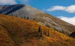 Desktop wallpaper. Nature. ID:31225