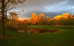 Desktop wallpaper. Nature. ID:31226