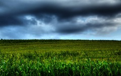 Desktop wallpaper. Nature. ID:31228