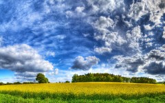 Desktop wallpaper. Nature. ID:31229